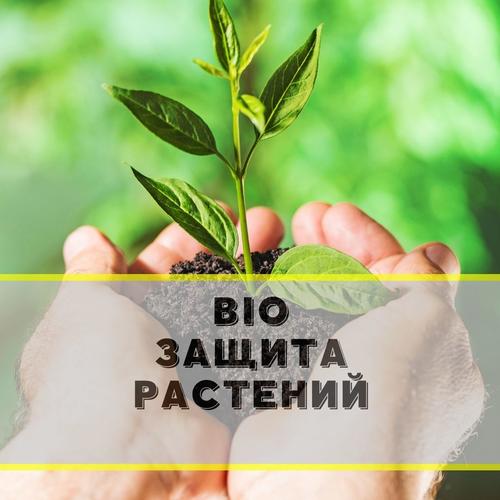 Биозащита для растений